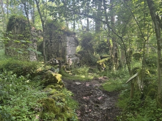 LAMONTÉLARIÉ - SICARDENS-tarn