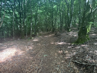 FONTRIEU - LE SINGLADOU-tarn