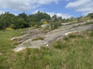FONTRIEU - LE SINGLADOU-tarn