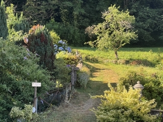 BRASSAC - LE SALAS-tarn