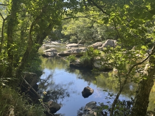 BRASSAC - SENTIER DU CAMBOUSSEL-tarn