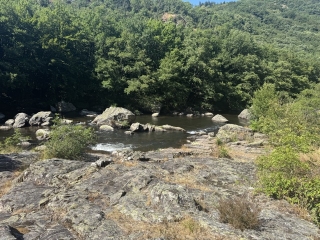 BRASSAC - SENTIER DU CAMBOUSSEL-tarn