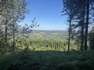FONTRIEU - SENTIER DU PETIT NATURALISTE-tarn