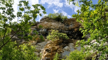 LARROQUE - OPPIDUM DU RENARD-tarn