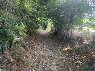FONTRIEU - SENTIER DE PEYROLLES-tarn