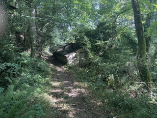 GIJOUNET - MALEFAYERE-tarn