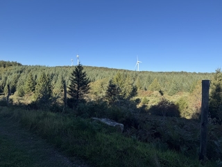 LACAUNE-LES-BAINS - COL DE PICOTALEN-ROUMANE-tarn