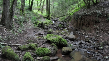 SAINT-MARTIN D URBENS-tarn