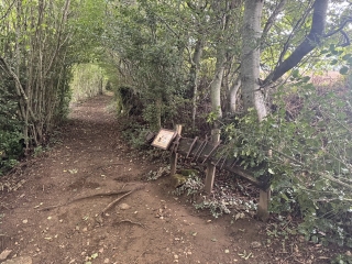 LACAUNE - SUR LES TRACES DE L ENFANT SAUVAGE-tarn