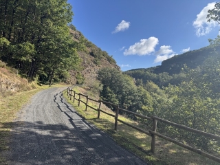 LACAUNE - LE PETIT TRAIN-tarn