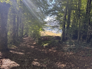 LACAUNE - PARC DE CALMELS-tarn