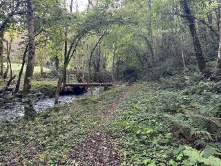 GIJOUNET - SENTIER DU BOIS DE NAUZABRE-tarn