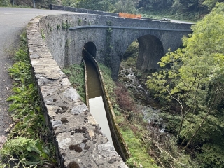 GIJOUNET - SENTIER DU BOIS DE NAUZABRE-tarn