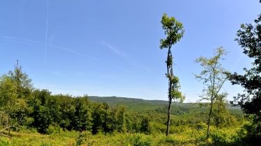 LA GRANDE BARAQUE-tarn