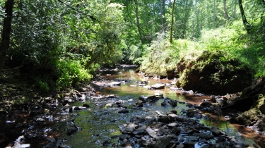 LA GRANDE BARAQUE-tarn