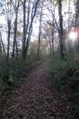 CIRCUIT CADALEN EST  AVEC PANORAMAS-tarn