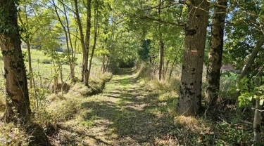 SAINT-ANDRE - SENTIER DE MASSALGUES-tarn