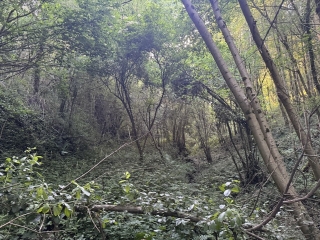 TEILLET - LA VALLEE DE BLAZE-tarn