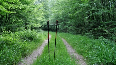 LA GRANDE BARAQUE - VERSION FAMILIALE-tarn