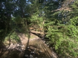 LISLE-SUR-TARN - OMBRAGES ET PAYSAGES-tarn