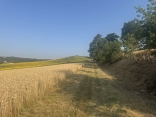 GAILLAC - OENORANDO CHEMIN DE POMPIRAC-tarn