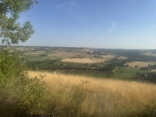SAINT-MARCEL-CAMPES - CHEMIN DU GRAIN DE SEL-tarn