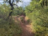 LABARTHE-BLEYS - SENTIER DE MARAVAL-tarn