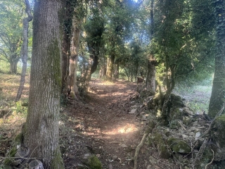 LACAZE - PARCOURS DE SANTE 2-tarn