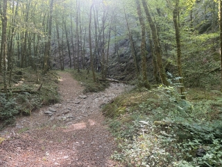 MIRANDOL-BOURGNOUAC - SENTIER DE CAZOULS