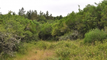 SENTIER DE DECOUVERTE DE SAINT-CLEMENT-tarn