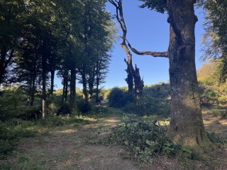 ARFONS - LE SENTIER DES FONTAINES-tarn