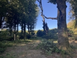ARFONS - LE SENTIER DES FONTAINES-tarn