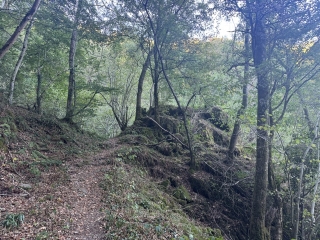 ESCOUSSENS - LE CARLA-tarn