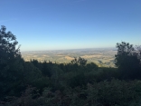 ESCOUSSENS - LE CARLA-tarn