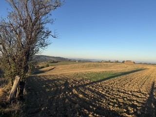 SAINT-CHRISTOPHE - LE SEGUR-tarn
