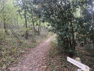 PARISOT - BOUCLE DE LA BROGNE-tarn