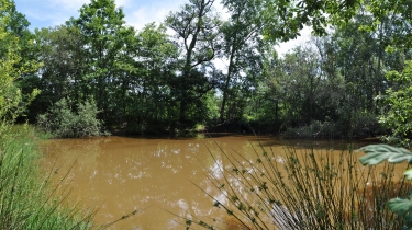 AU COEUR DE LA GRESIGNE-tarn