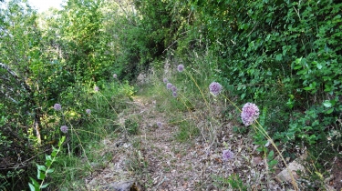 PUYCELSI - VALLEE DE LA VERE-tarn