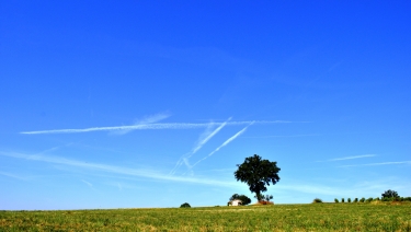 SAINTE-CECILE-DE-CAYROU-tarn