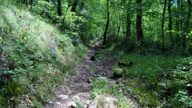 DE SAINT-BEAUZILE AU COEUR DE LA GRESIGNE-tarn