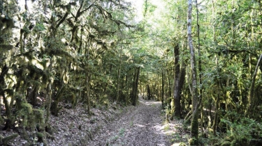 COMBE DE MALAVAL-tarn-et-garonne