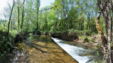 BRIAN DE VERE-tarn-et-garonne