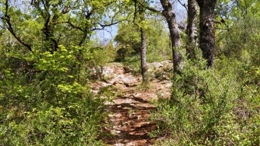 PECH TREGON-tarn-et-garonne
