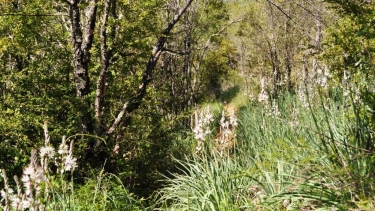 PECH TREGON - VERSION SPORTIVE-tarn-et-garonne