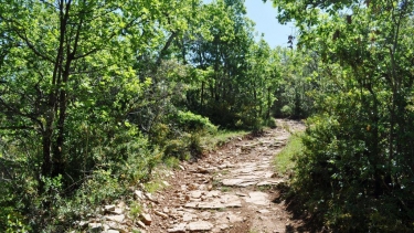 PUECH DE LA BOUYSSIERE-tarn-et-garonne