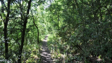 DE SAINTE-SABINE A L AVEYRON-tarn-et-garonne
