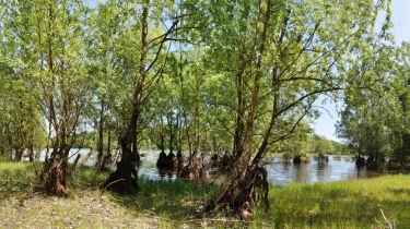 DE REVEL AU LAC DU GOUYRE-tarn-et-garonne