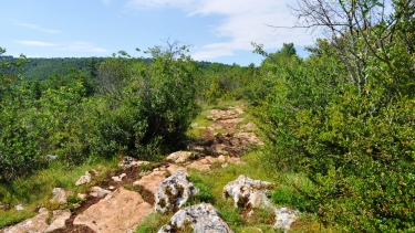 SAINT-MAFFRE-tarn-et-garonne