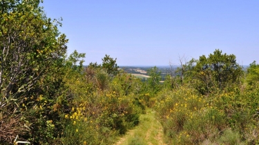 PUYGAILLARD-DE-QUERCY-tarn-et-garonne