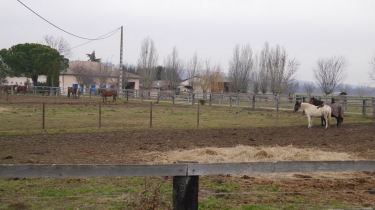 CIRCUIT DES TROTTEURS - PR 12-tarn-et-garonne